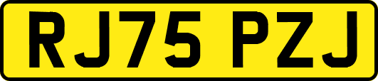 RJ75PZJ