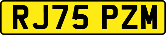 RJ75PZM