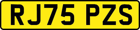 RJ75PZS