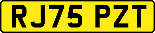 RJ75PZT