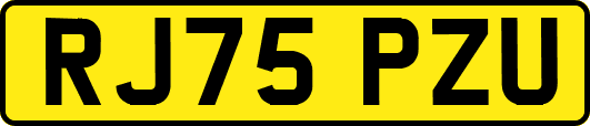 RJ75PZU