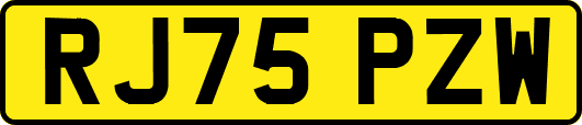 RJ75PZW