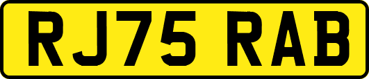 RJ75RAB