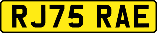 RJ75RAE