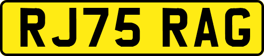 RJ75RAG