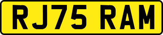 RJ75RAM