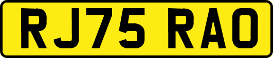 RJ75RAO