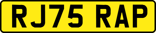 RJ75RAP