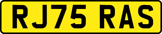 RJ75RAS