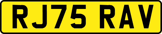 RJ75RAV