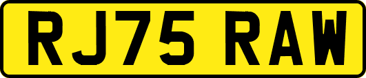 RJ75RAW