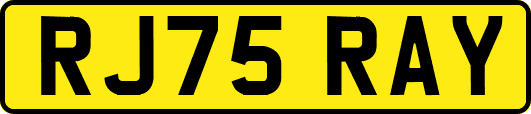RJ75RAY