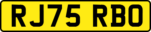 RJ75RBO