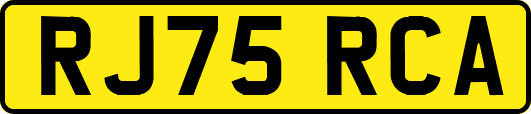 RJ75RCA