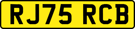 RJ75RCB
