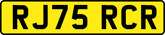 RJ75RCR