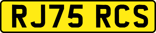 RJ75RCS