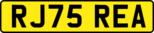 RJ75REA
