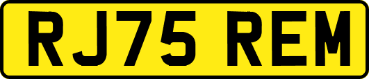 RJ75REM