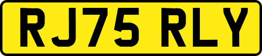 RJ75RLY