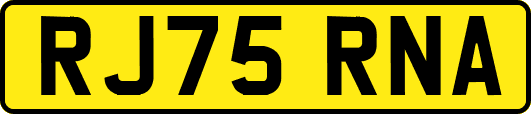 RJ75RNA