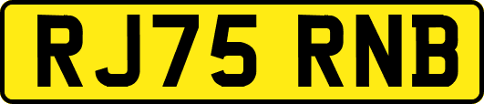 RJ75RNB