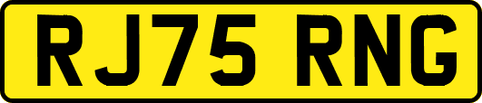 RJ75RNG