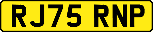 RJ75RNP