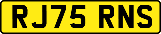 RJ75RNS