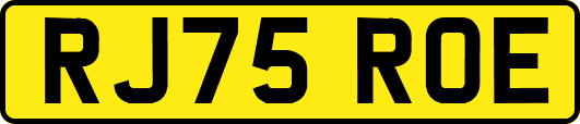 RJ75ROE