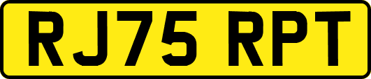 RJ75RPT