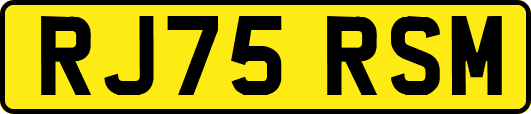 RJ75RSM
