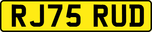 RJ75RUD