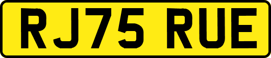 RJ75RUE