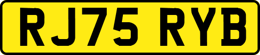 RJ75RYB
