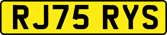 RJ75RYS