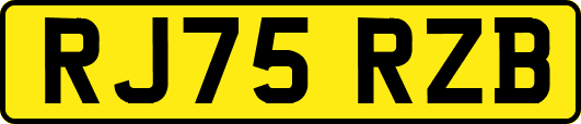 RJ75RZB