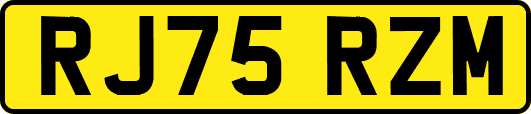 RJ75RZM