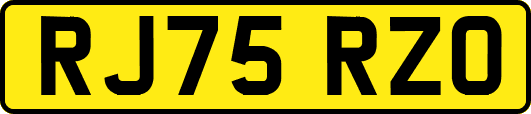 RJ75RZO