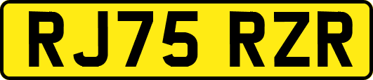RJ75RZR