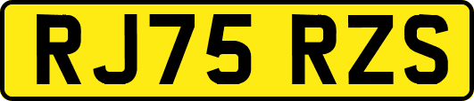 RJ75RZS