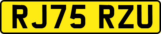 RJ75RZU