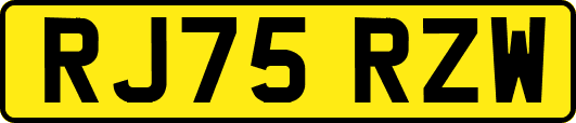 RJ75RZW
