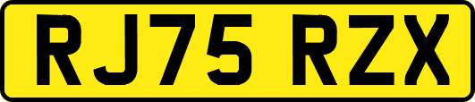 RJ75RZX