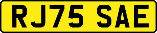 RJ75SAE