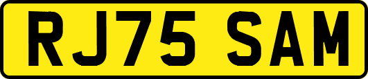 RJ75SAM