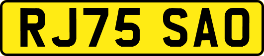 RJ75SAO