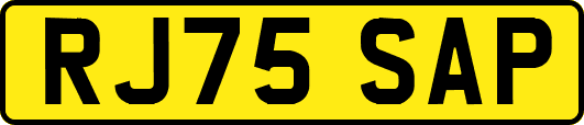 RJ75SAP
