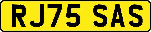 RJ75SAS