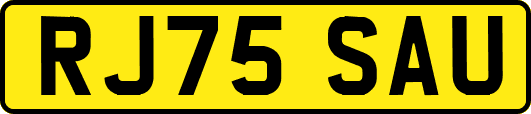 RJ75SAU